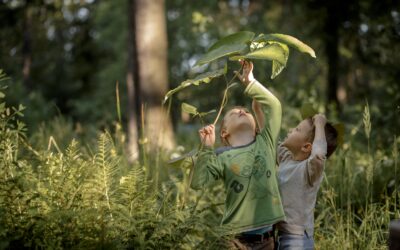 Erlebnisse für Kinder und Jugendliche